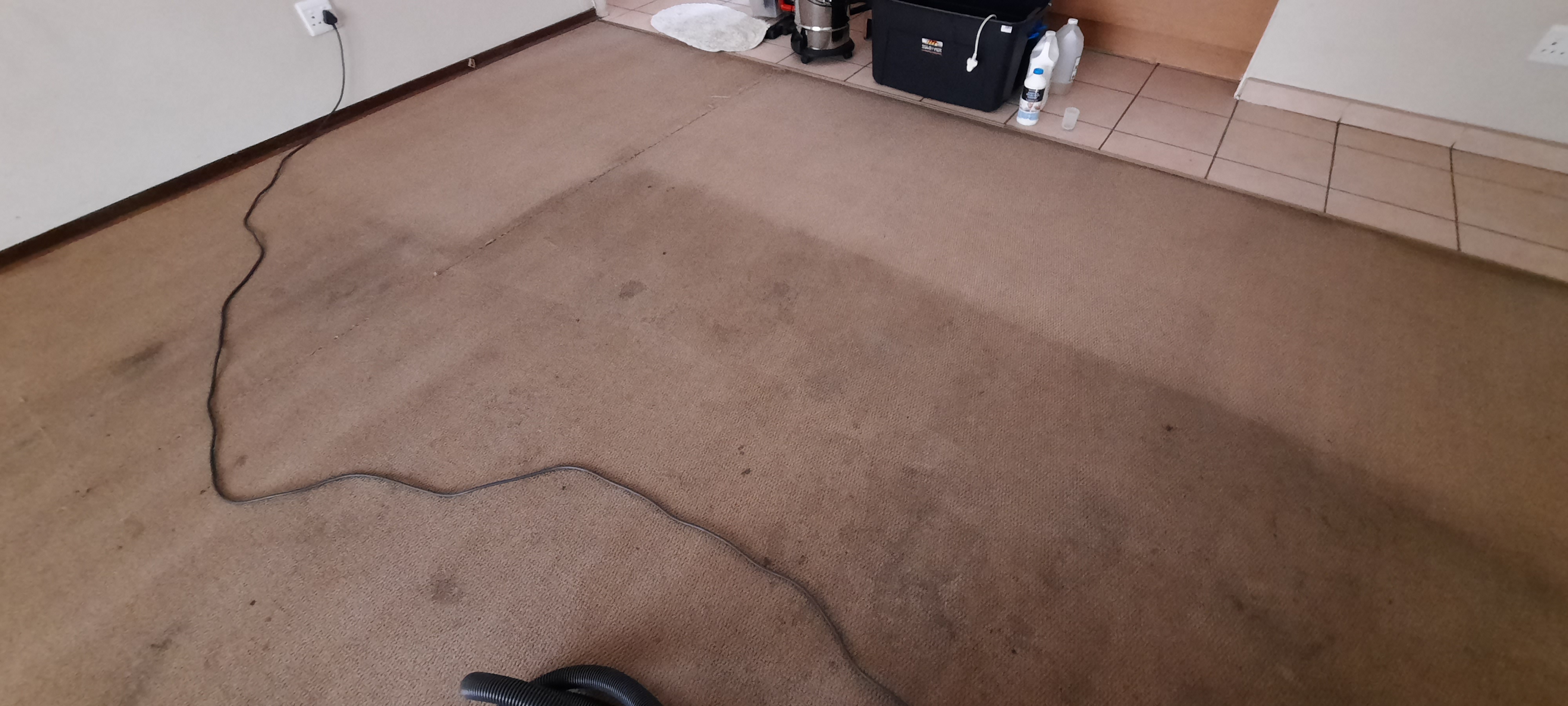Carpet Cleaning