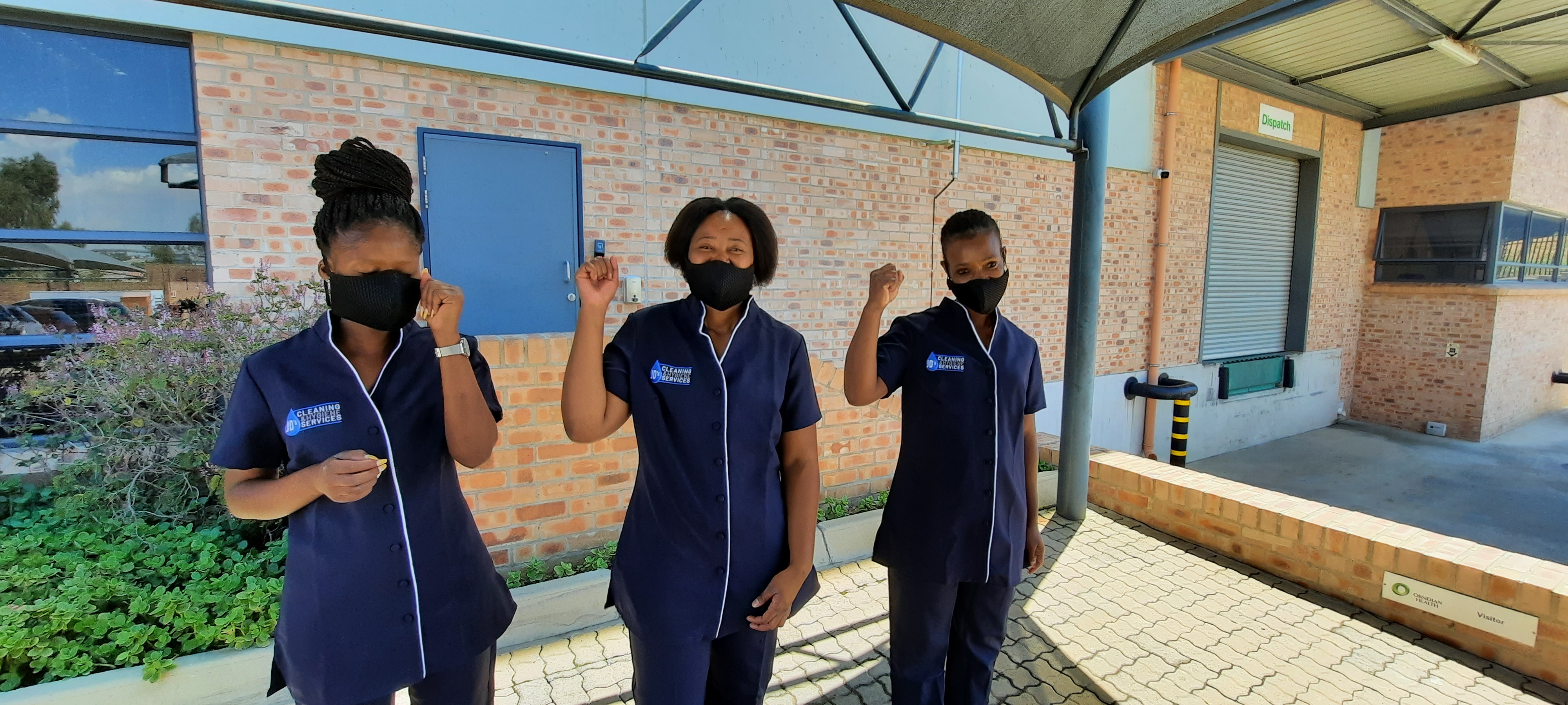 Professional Cleaning Services