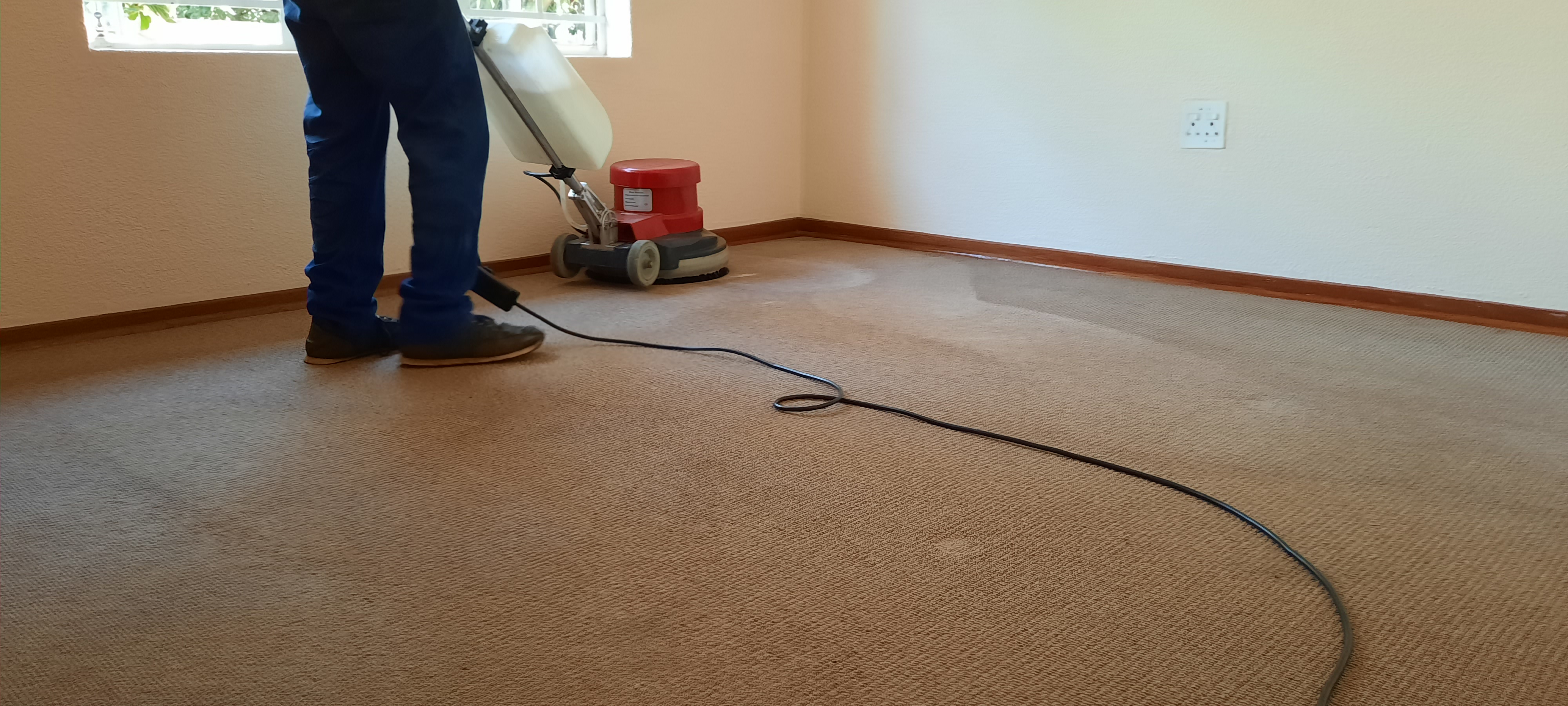 Carpet cleaner